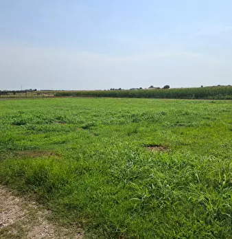 Foto annuncio 20