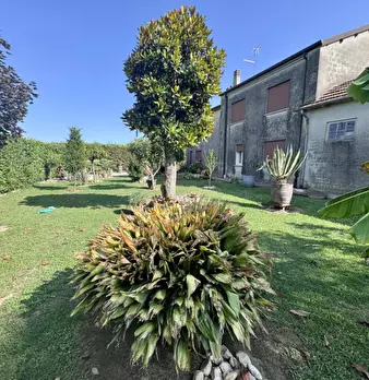 Foto annuncio 5