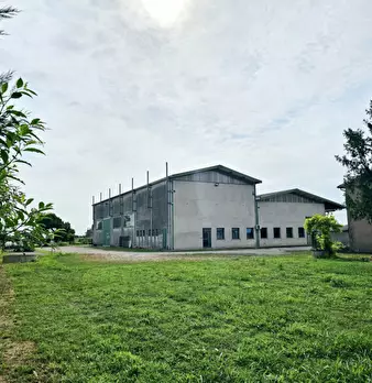 Foto annuncio 9