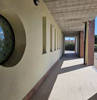 Foto annuncio 6