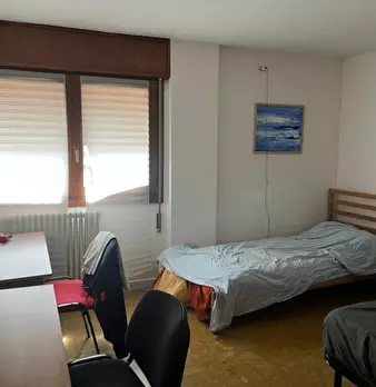 Foto annuncio 5