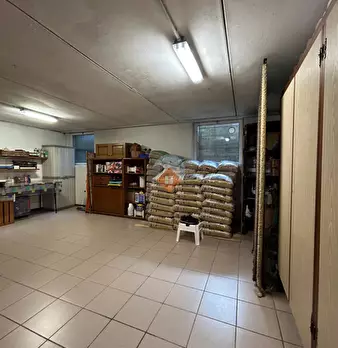 Foto annuncio 32