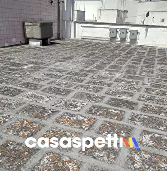 Foto annuncio 19