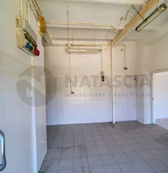 Foto annuncio 10