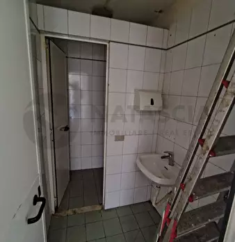 Foto annuncio 13