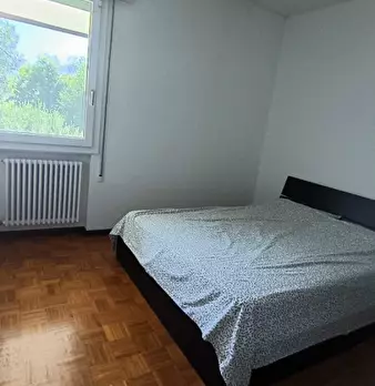 Foto annuncio 38