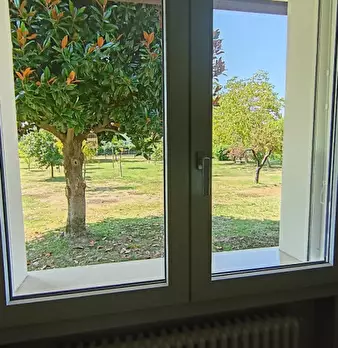 Foto annuncio 39
