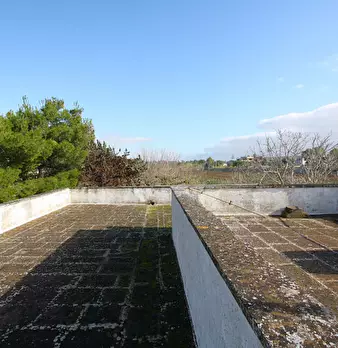 Foto annuncio 4
