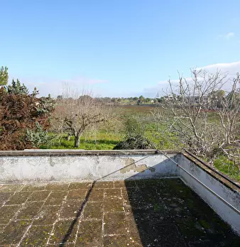 Foto annuncio 5