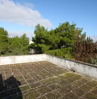 Foto annuncio 6