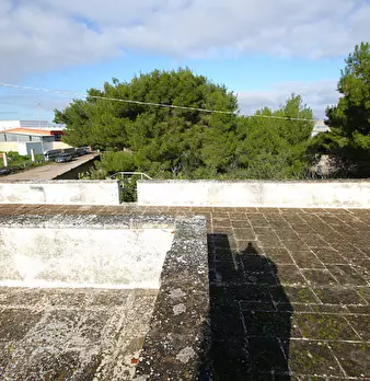 Foto annuncio 7