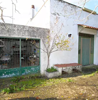 Foto annuncio 14