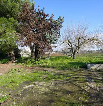 Foto annuncio 18