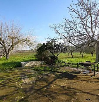 Foto annuncio 19