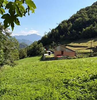 Foto annuncio 12