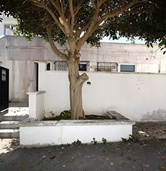 Foto annuncio 25