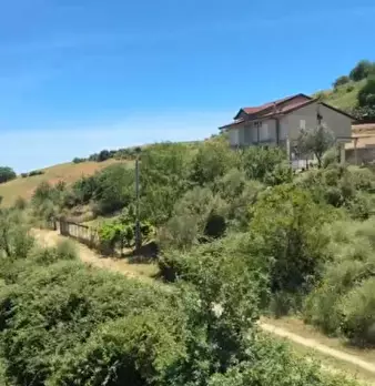Foto annuncio 4