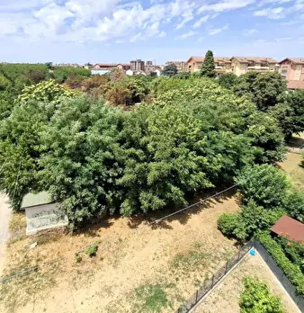 Foto annuncio 1