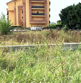 Foto annuncio 8