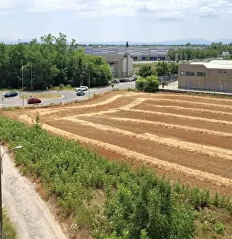 Foto annuncio 11