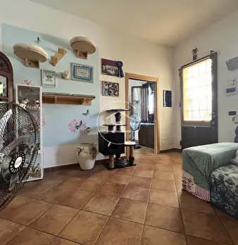 Foto annuncio 22
