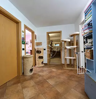 Foto annuncio 26