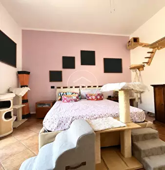 Foto annuncio 28