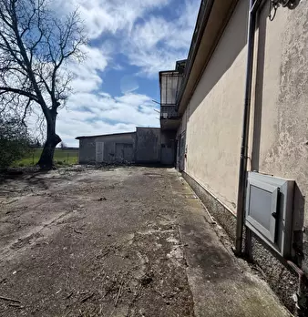 Foto annuncio 19