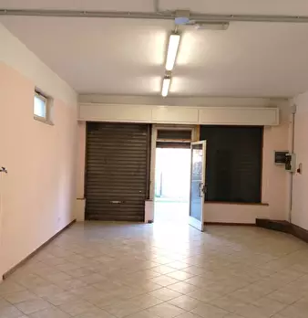 Foto annuncio 6