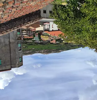 Foto annuncio 12
