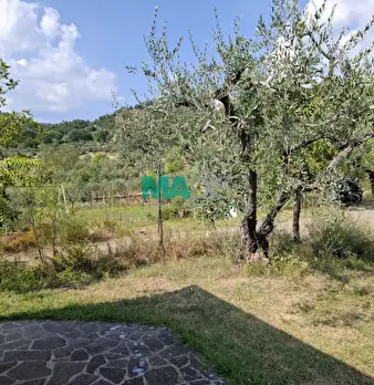 Foto annuncio 6