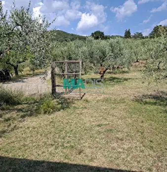 Foto annuncio 20