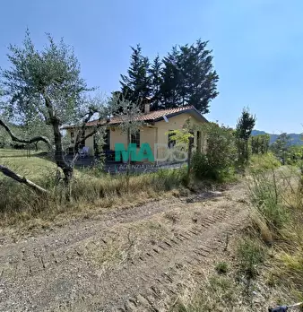 Foto annuncio 41