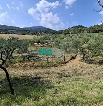 Foto annuncio 45