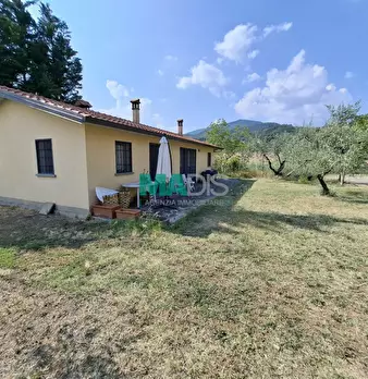 Foto annuncio 51