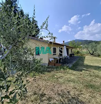 Foto annuncio 52
