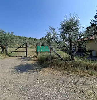 Foto annuncio 55