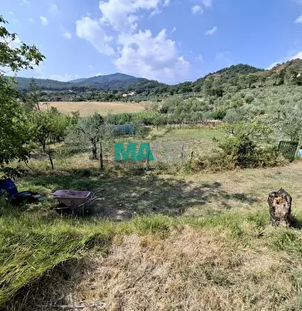 Foto annuncio 57