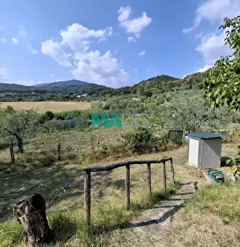 Foto annuncio 60