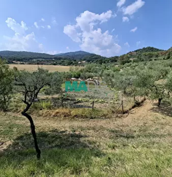 Foto annuncio 61