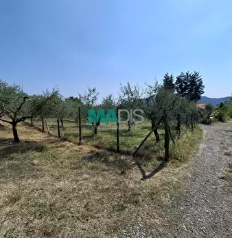 Foto annuncio 64