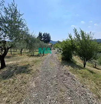 Foto annuncio 66