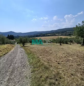Foto annuncio 67