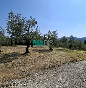 Foto annuncio 69