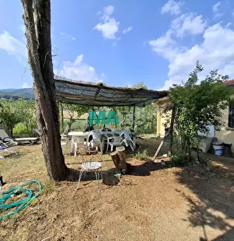Foto annuncio 71