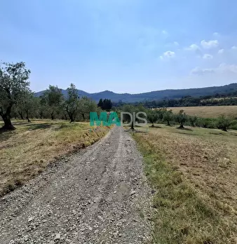 Foto annuncio 72