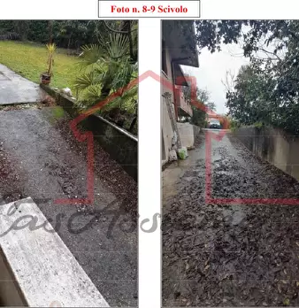 Foto annuncio 24