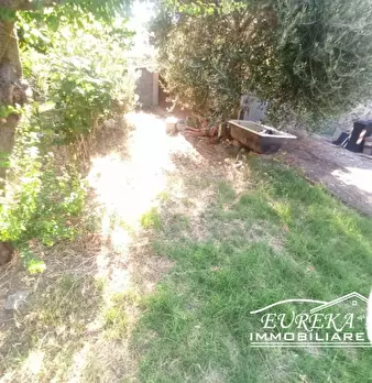 Foto annuncio 26