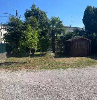 Foto annuncio 31