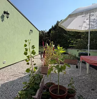 Foto annuncio 54